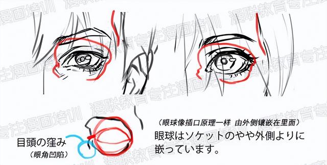 零基础绘画教程！正脸和侧脸的超详细画法讲解