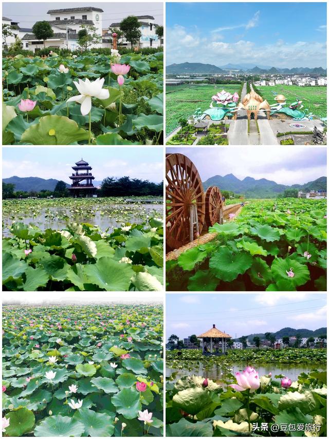 广西贵港漫游指南：山水人文美食五日慢旅行