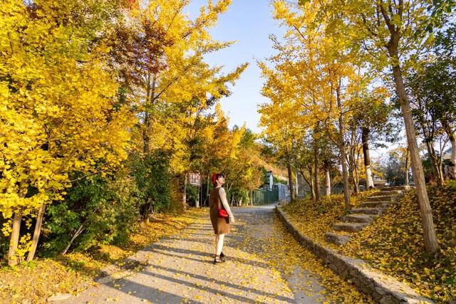 秋游黄陂 | 解锁清凉寨的N种玩法！