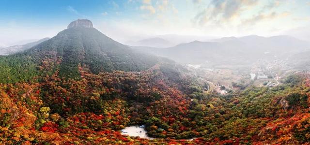 免费、优惠！“双节”假期游枣庄！这份攻略请查收→（山亭、市中篇）