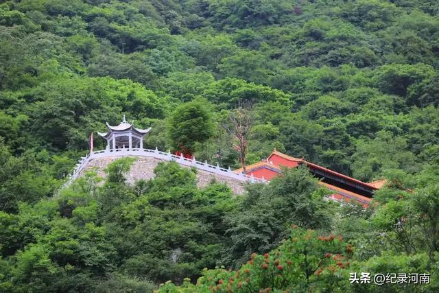 无锡灵山大佛，环山抱水，风景秀丽！