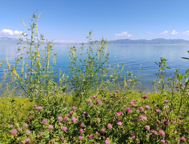 北疆行⑮——环游赛里木湖（下）