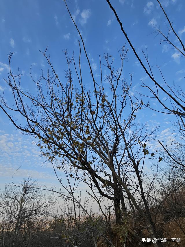 无限风光在险峰，美好夕阳无限好，黄昏时刻与之携手，看美景美图