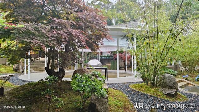 出游第7站-岳阳：因去的不是时候,愉悦与失落参半,岳阳楼值得登吗