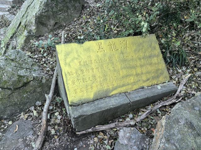 南京紫金山郊野徒步