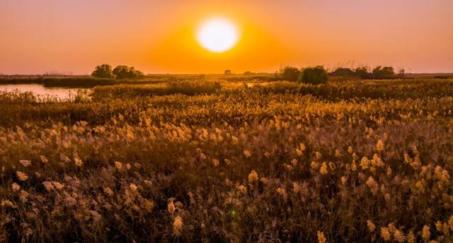 定格九龙口的初冬浪漫！每帧都是大片