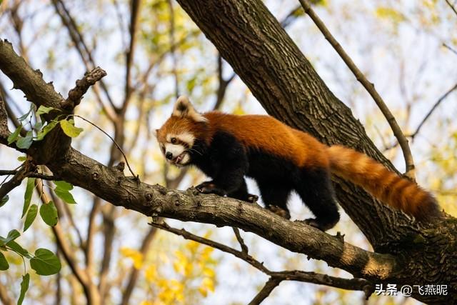 6天春假江苏旅游攻略