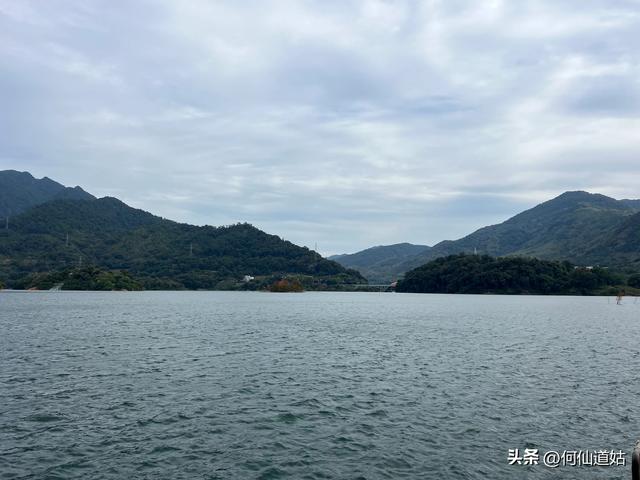 游流溪河森林公园