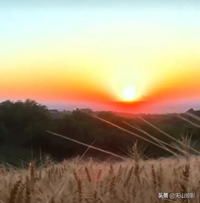 一二三，风吹麦浪