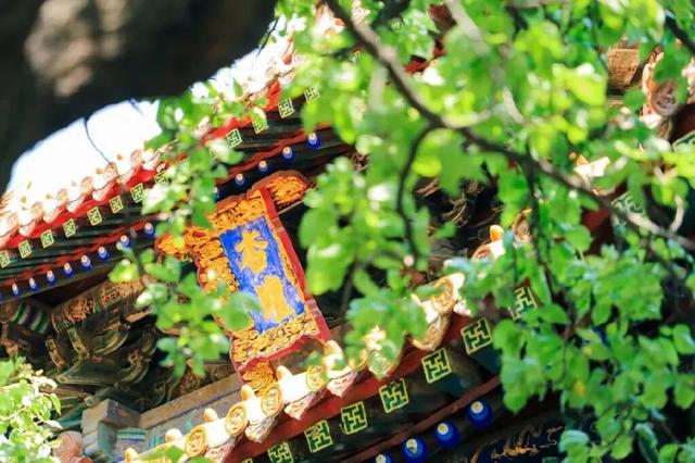 7元的火车票能当40元用？可以！