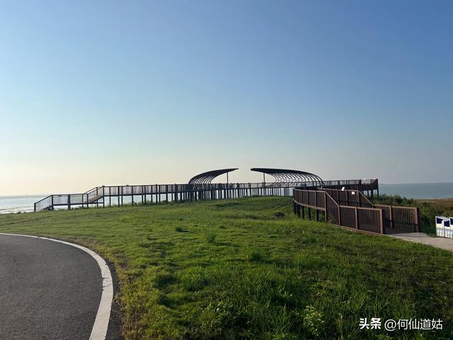 吴城狮子山观鸟