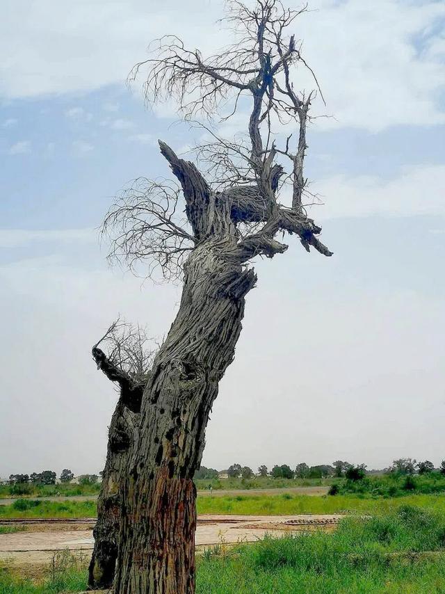 新疆罗布人村寨