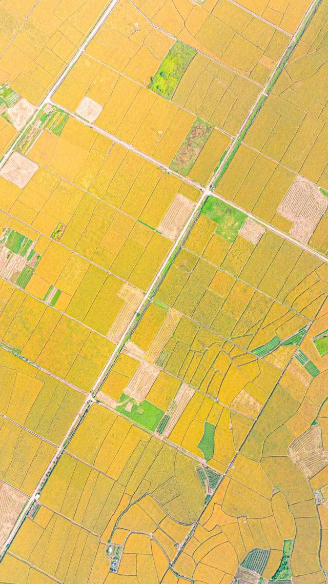 秋日限定!速来围观肇庆的绝美风光~