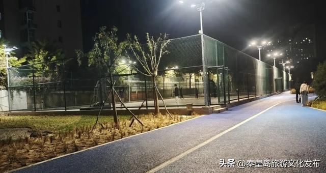 实拍！秦皇岛家门口的免费好去处，这个百亩湿地公园晚上也能逛~