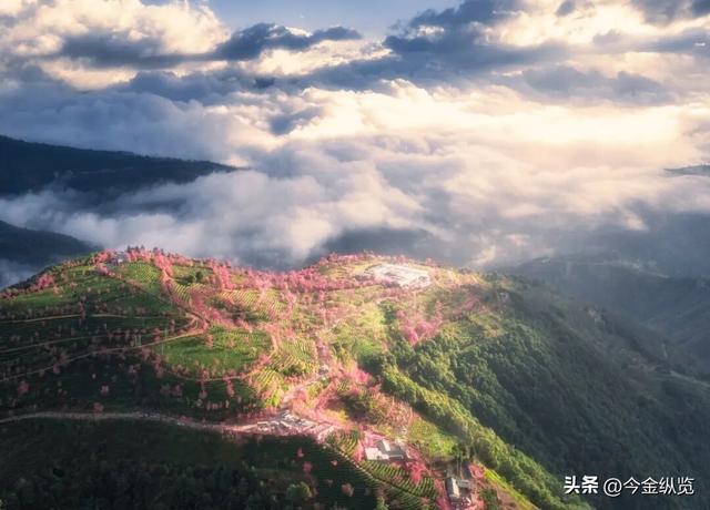 12月旅行去哪？这四季同框攻略，让你玩转冰雪、赏秋、寻花、避寒