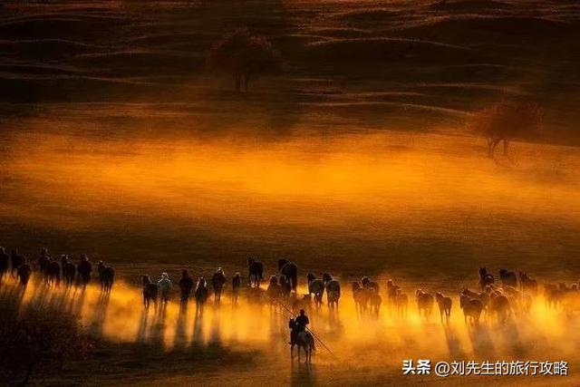 把秋天装进相册！这8个神仙目的地，让你拍出封神大片！