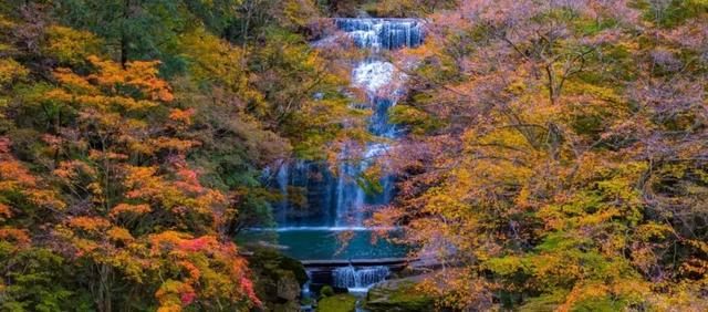 汉中黎坪景区闭园公告