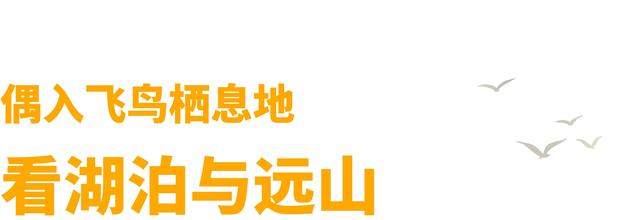 如何不“悲秋”？在乌鲁木齐 3 处湿地，放松一点