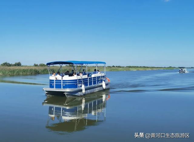 黄河口七夕漫游指南：与你赴一场湿地飞鸟与落日的浪漫之约