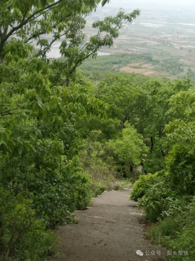 莱阳记忆：初夏登娘娘山