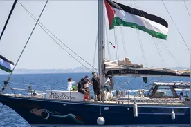 “环保少女”终于干了一件好事， 以军拦截引全球愤慨图片