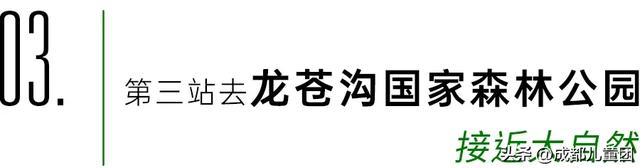 常被路过的雅安，值得专门去玩一趟