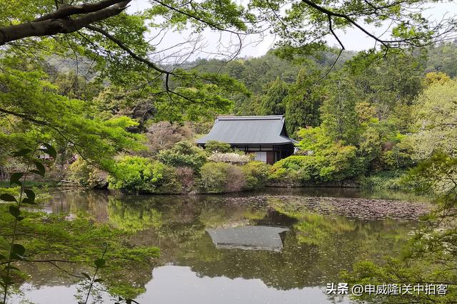 日本京都：走进龙安寺