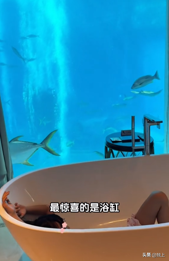 伊能静住酒店10万一晚，一边泡澡一边看海洋动物，贫穷限制了想象