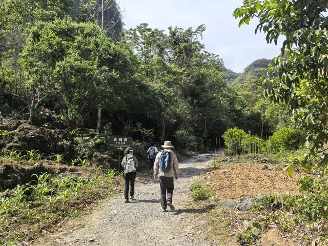 带小朋友去贵州茂兰，连环探洞加漏斗原始森林徒步二日游全攻略！