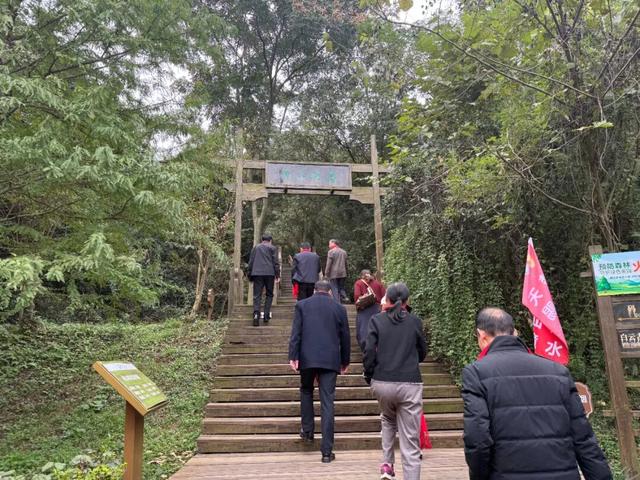 重阳洈水情，乐享山水间 | 多批中老年团队盛赞景区康乐团建之旅