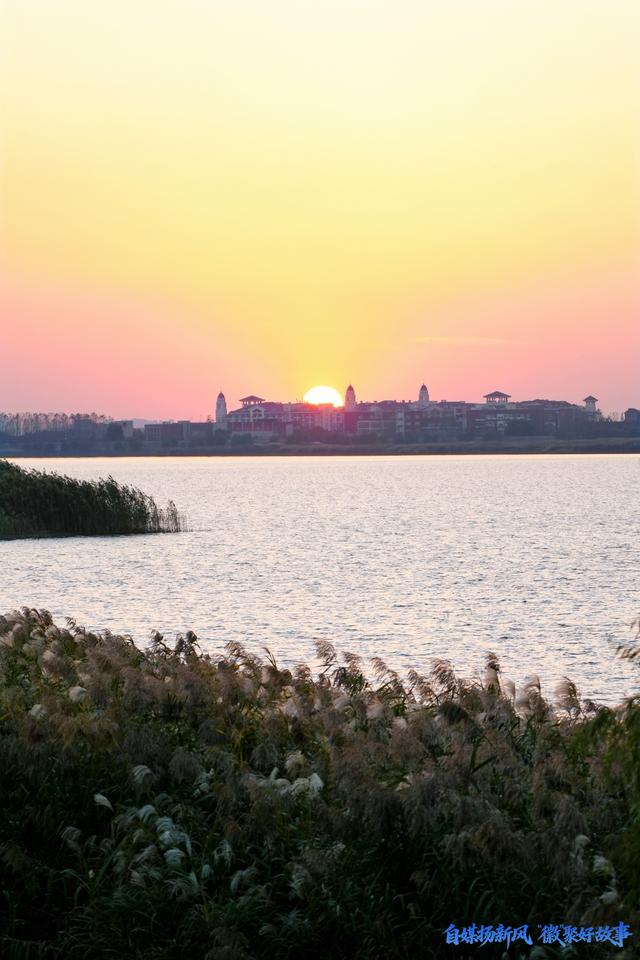 自媒扬新风，“徽”聚好故事!安徽自媒体同心圆活动走进芜湖