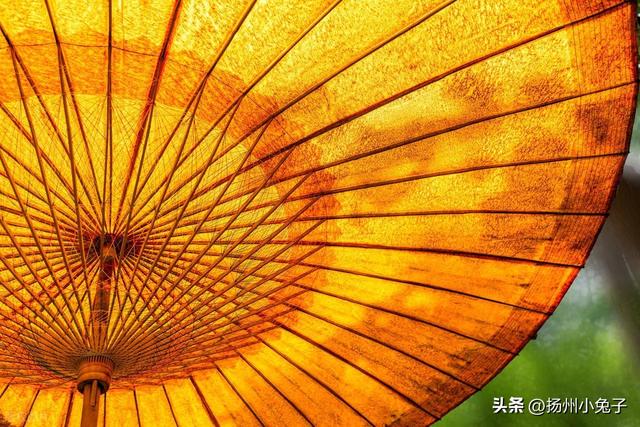 从一件雨披，看中国雨具的变迁