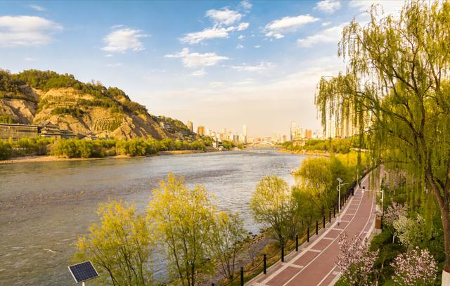 兰州读者大道火了！紫叶李开成粉色隧道，书香与花香撞个满怀