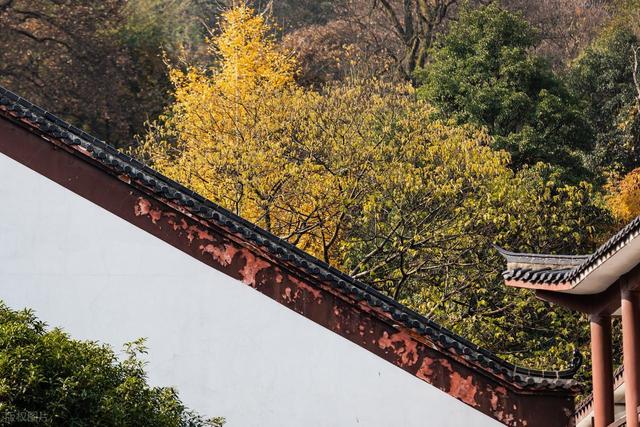 接下来，长沙的天花板级秋景在这里！一年中的颜值巅峰期，美哭！