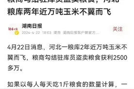 民以食为本，粮食安全大于天，粮食储备还安全吗？图片