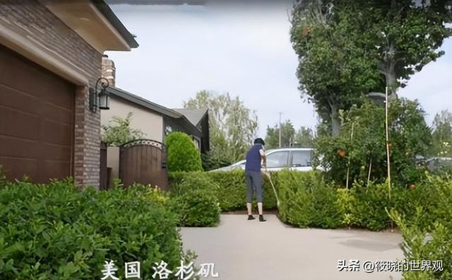 “铁榔头”沉迷医美无法自拔？64岁郎平大变样，差点就认不出来了