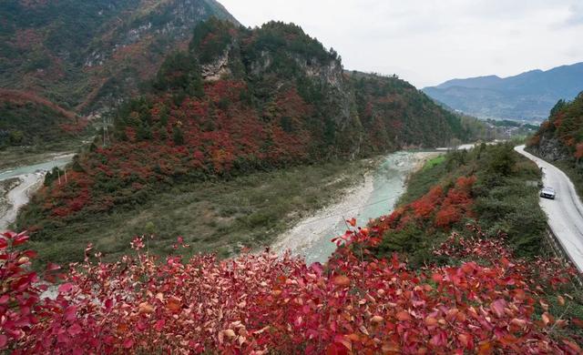 成县晚秋，是藏在秦岭南麓的色彩诗行