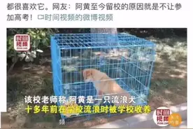 还记得那个每年高考都要关三天禁闭的黄主任吗？图片