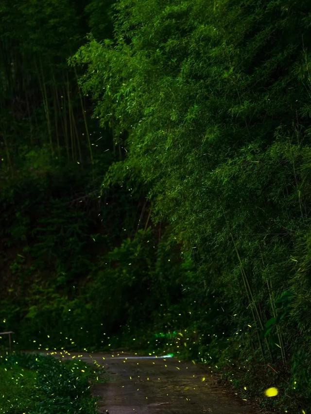 成都以西的隐秘小村,赏萤火虫、溪涧踩水、探秘溶洞…1.5h刹拢!