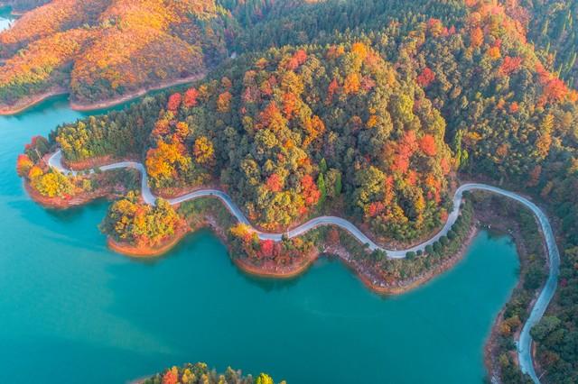 这才是江南秋天的天花板！浙江5大红叶秘境，带你走进古典水彩画