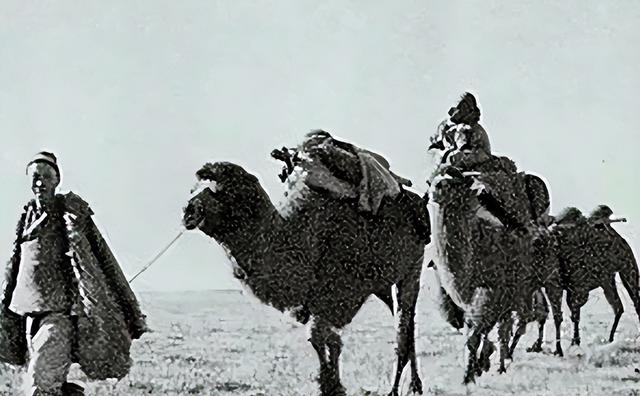 雪域天路奇迹，1200 公里青藏公路，只用 7 个月零 4 天被 “砸” 出来了