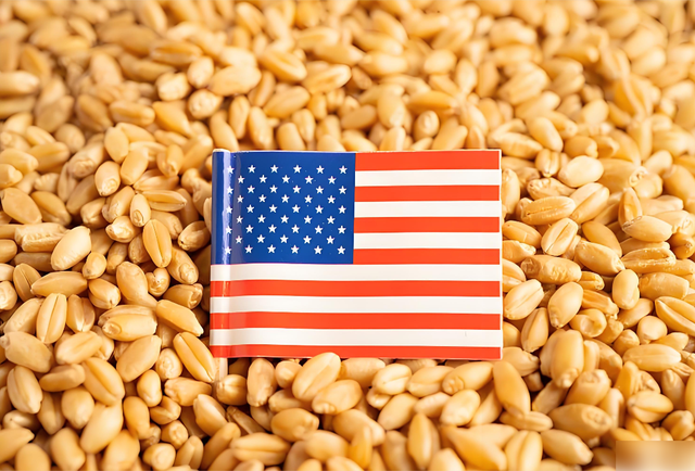 特朗普下令，要把中企一锅端，美禁令生效前	，中国取消13万吨订单