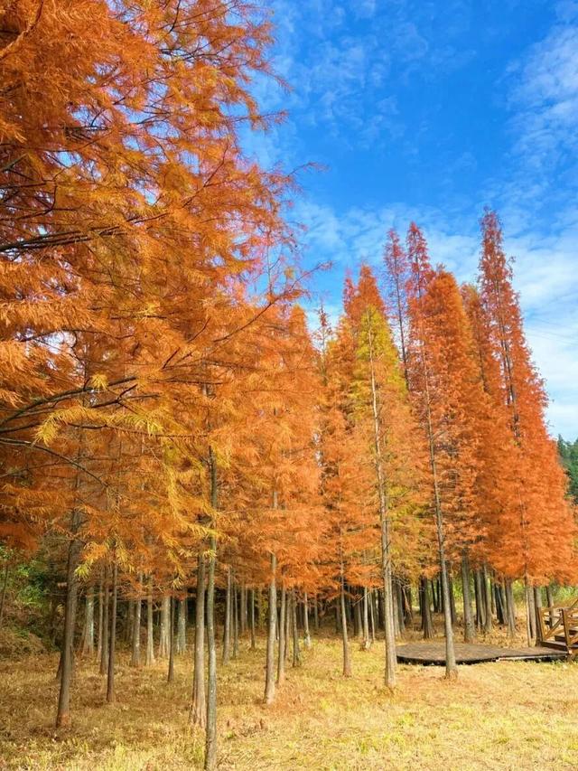 美如仙境！韶关这个地方迎来今年首场冰挂雾凇景观，秋冬来旅行，赏雪泡泉看红枫为你安排好了