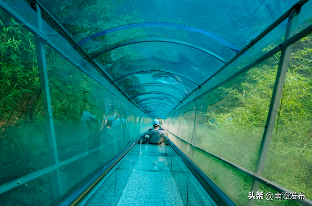 春秋寨免票倒计时！多重福利玩法，抓紧体验→