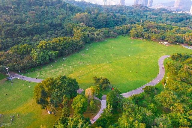 深圳最值得去的6个公园推荐！全部免费，地铁直达，好玩又好拍！