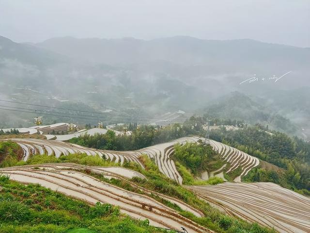 广西有个“奇怪”的旅游景点，原本只是农田，现在却是4A级景区？