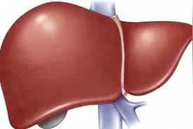 这个穴位堪称肝的“喇叭”，肝有问题一按就痛，对照按按！图片