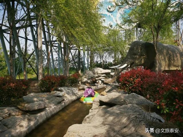 “0元”办理泰安这个景区终身票，精彩演绎+动物王国+大型游乐设备畅玩！