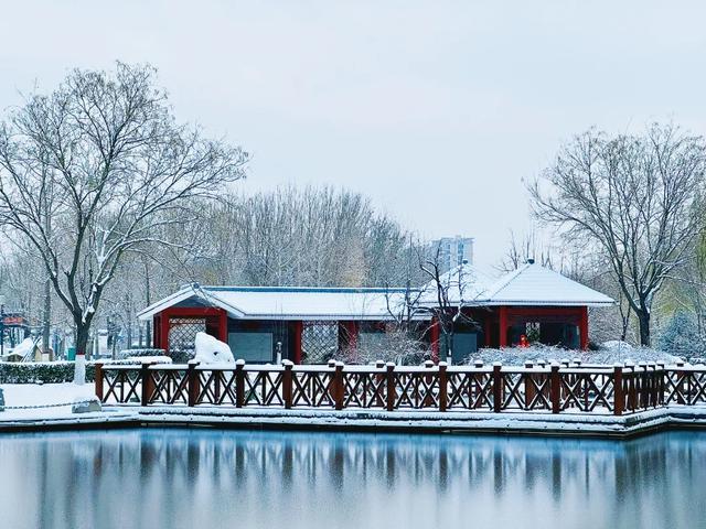 收好这份石家庄“雪景打卡地图”！走起→