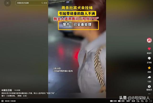 江苏杜宾犬飞扑幼童：事情已了结，当地人透露更多，女子身份可疑